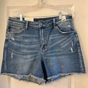 Judy Blue Jean Shorts 2X